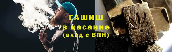 МДПВ Пересвет