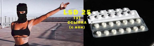 круглые Осинники