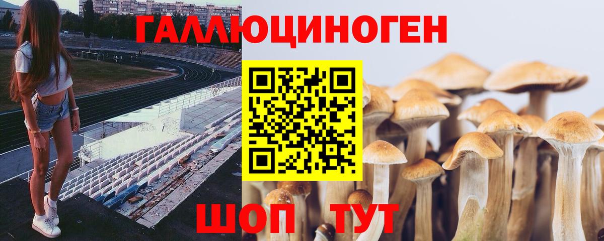 Псилоцибиновые грибы Psilocybine cubensis  Галлюциногенные грибы Magic Shrooms  Анапа 