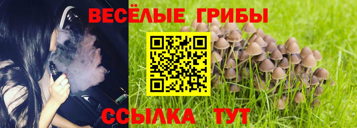 Галлюциногенные грибы Cubensis Анапа