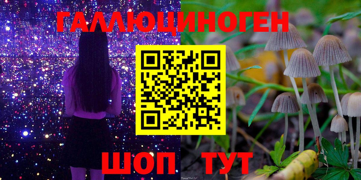 Галлюциногенные грибы Psilocybe Анапа